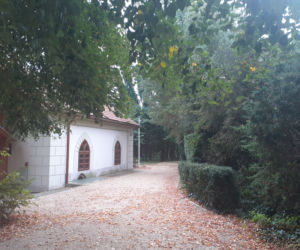 Arboretum Bolestraszyce