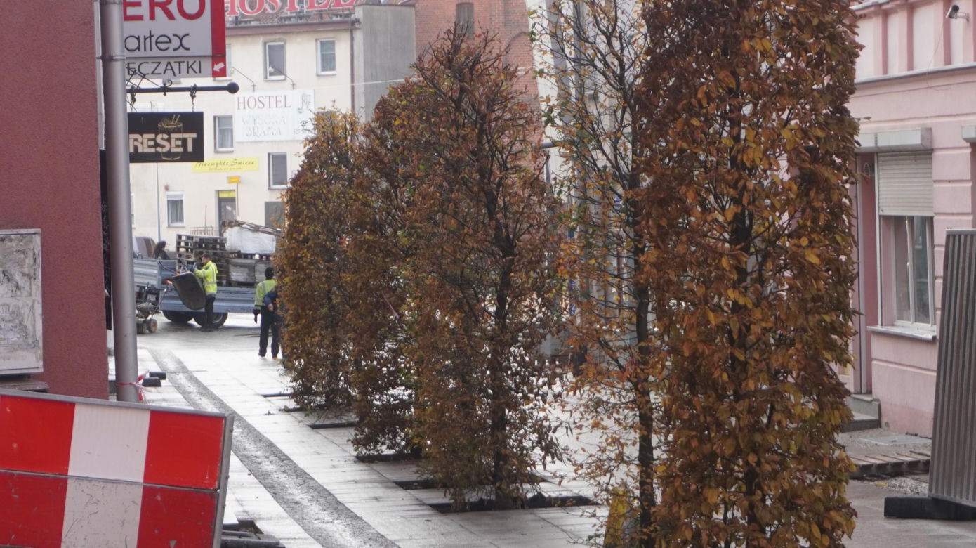 Alejka w centrum Olsztyna zmieniła się nie do poznania. Będzie najpiękniejsza w mieście? [ZDJĘCIA]