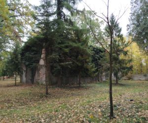 Zabytkowe budynki Lodowni i Kotłowni oraz zespół sanatoryjno-parkowy w Rudce przejdą rewitalizację. Inwestycje będą realizowane do 2028 roku