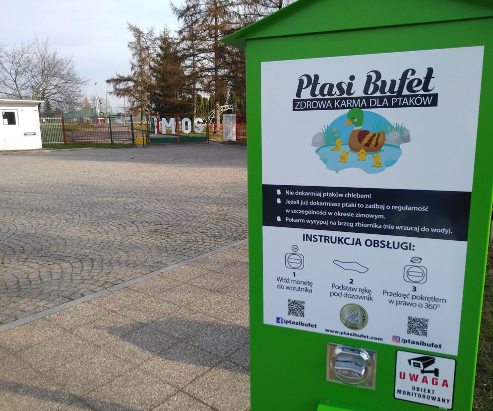 Pierwszy ptasi bufet w Braniewie. Zobacz, gdzie go szukać