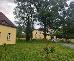 To jedno z najpiękniejszych miast na Śląsku. Czaruje jedynym takim pałacem myśliwskim w Polsce