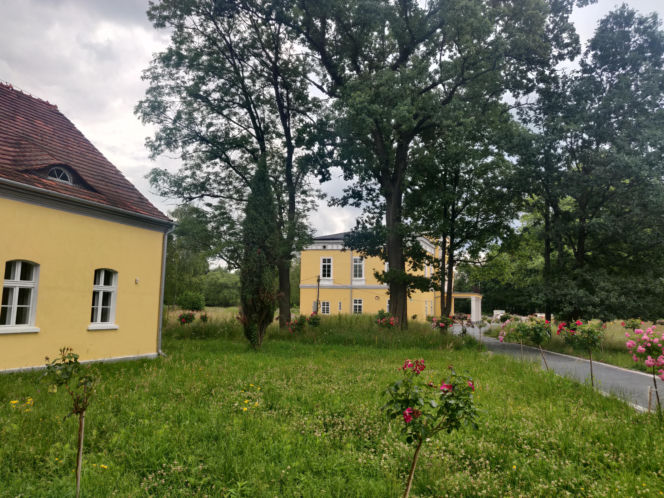 To jedno z najpiękniejszych miast na Śląsku. Czaruje jedynym takim pałacem myśliwskim w Polsce