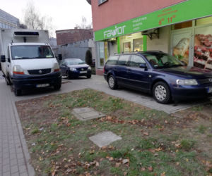Nowy, zielony skwerek na Szyperskiej