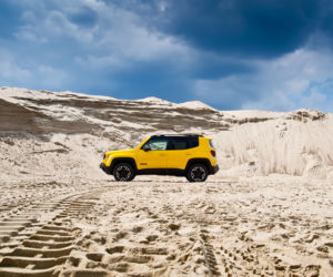 Jeep Renegade 2.0 MultiJet 170 KM 9AT 4x4 Trailhawk
