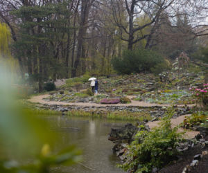 Arboretum w Wojsławicach otwarte po zimowej przerwie