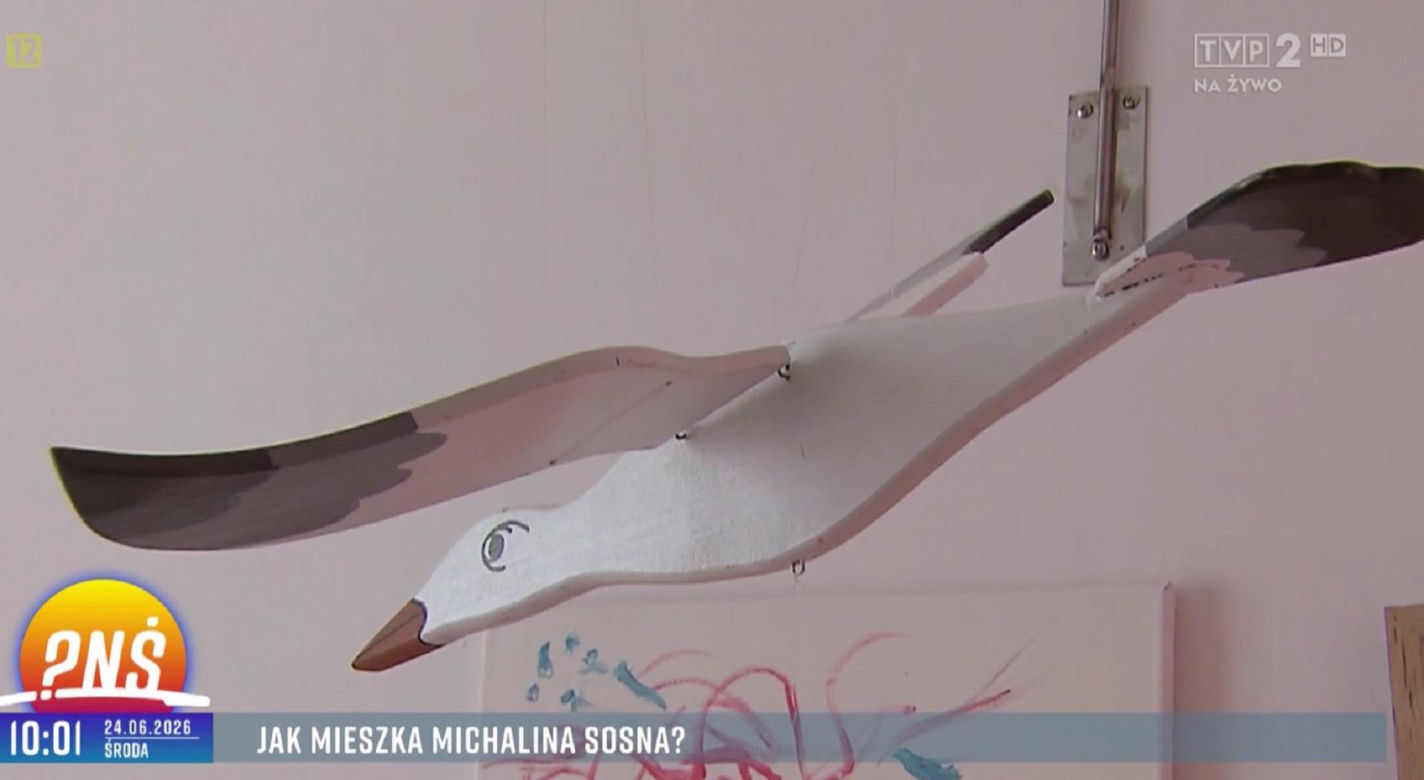 Michalina Sosna (Kama z M jak miłość) pokazała mieszkanie w "Pytanie na śniadanie"