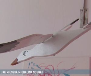 Michalina Sosna (Kama z M jak miłość) pokazała mieszkanie w Pytanie na śniadanie