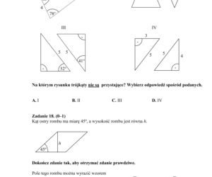 EGZAMIN GIMNAZJALNY 2013 MATEMATYKA - ARKUSZE, ODPOWIEDZI