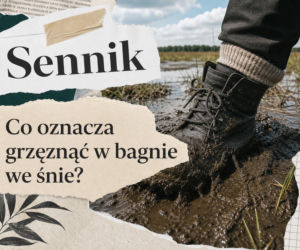 Grzęznąć w bagnie - znaczenie snu. Co mówi taka scena?