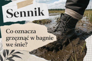 Grzęznąć w bagnie - znaczenie snu. Co mówi taka scena?