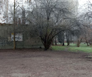 Park ul. Dekerta