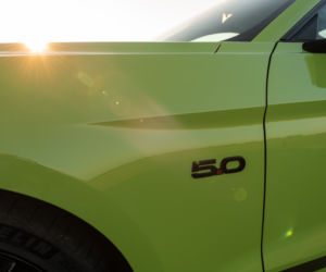 Ford Mustang GT 5.0 V8 55 Edition
