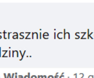 Turzany. Komentarze Internautów po zabójstwie dwóch chlopców