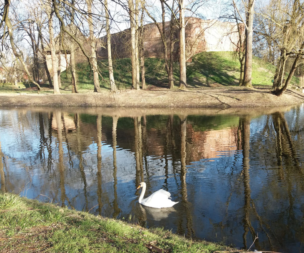 Międzyrzecz 