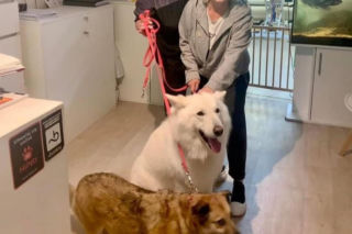 Małgorzata Ostrowska