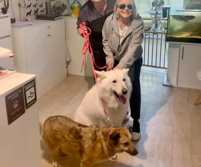 Małgorzata Ostrowska