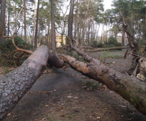Niszczycielska wichura w Bydgoszczy [ZDJĘCIA]