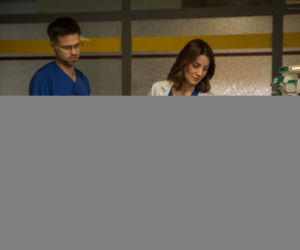 Diagnoza 2 sezon, odcinek 6, Anna (Maja Ostaszewska), Michał (Maciej Zakościelny)