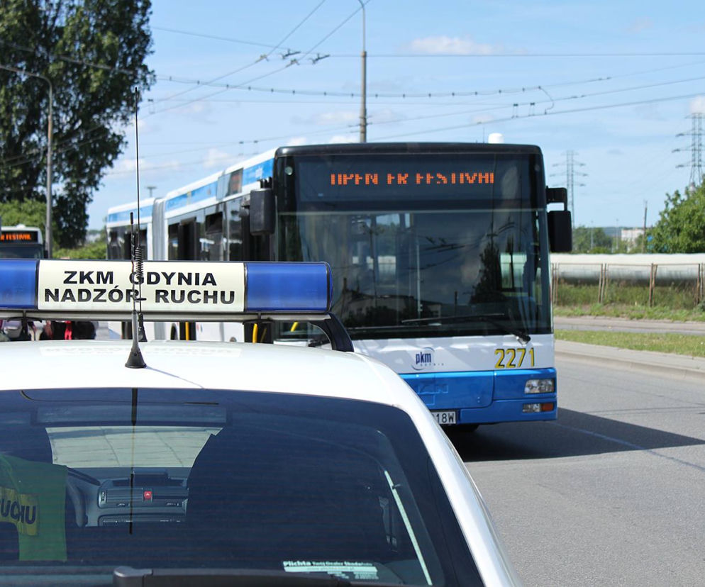 Więcej policji w okolicach Festivalu to standard.