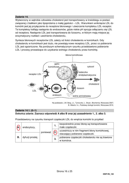 Matura 2022: biologia rozszerzona. Arkusze CKE, zadania, pytania. Poziom rozszerzony