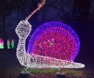 Park Iluminacji w Poznaniu