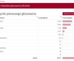 Wybory prezydenckie 2020 w woj. śląskim. W Katowicach i Sosnowcu wygrał Rafał Trzaskowski [WYNIKI W MIASTACH I POWIATACH]
