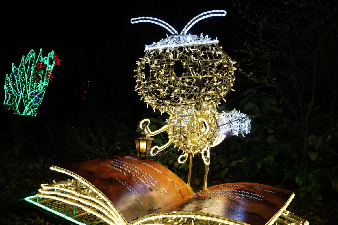 Lumina Park 2023 w Lublinie