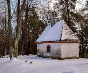 Rezerwat Przyrody Kręgi Kamienne