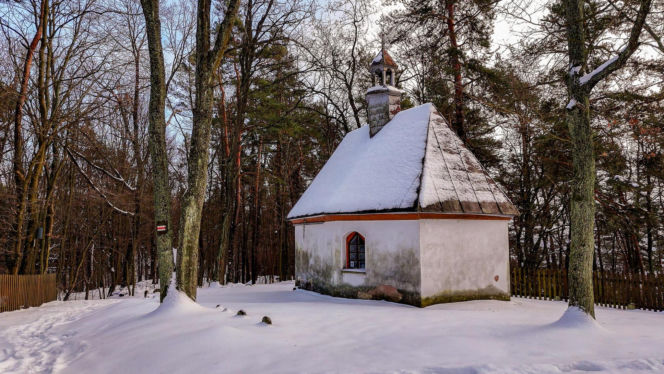 Rezerwat Przyrody Kręgi Kamienne