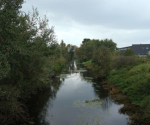 Nowa inwestycja w Krakowie. Rybitwy zyskają zaawansowaną ochronę przeciwpowodziową