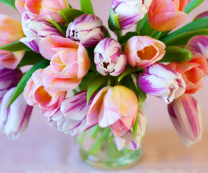 Chcesz, by tulipany długo stały w wazonie? Oto wskazówki!