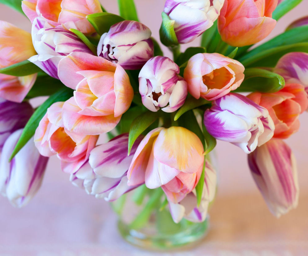 Chcesz, by tulipany długo stały w wazonie? Oto wskazówki!
