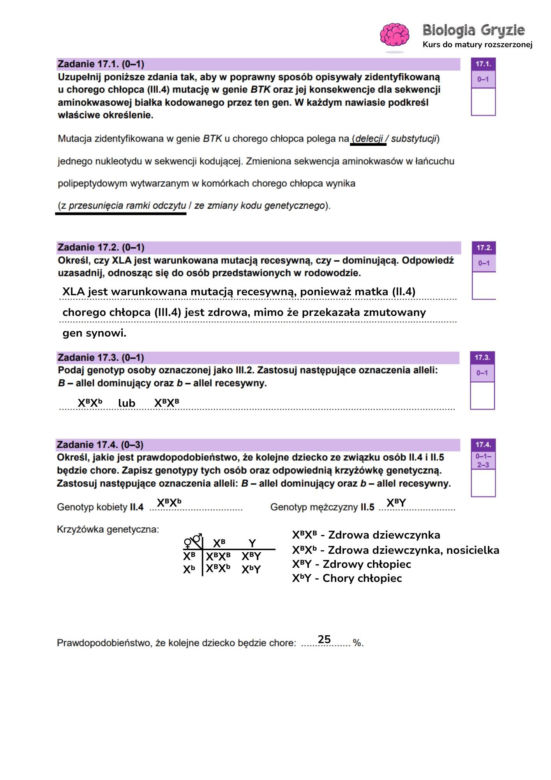 Odpowiedzi matura próbna biologia rozszerzona 2024