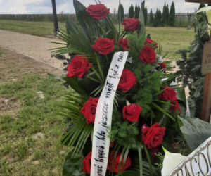 Biały gołąb nad grobem Mateusza