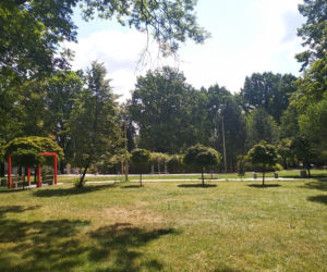 Park Bogucki w Katowicach zyskał nowe oblicze! [ZDJĘCIA]