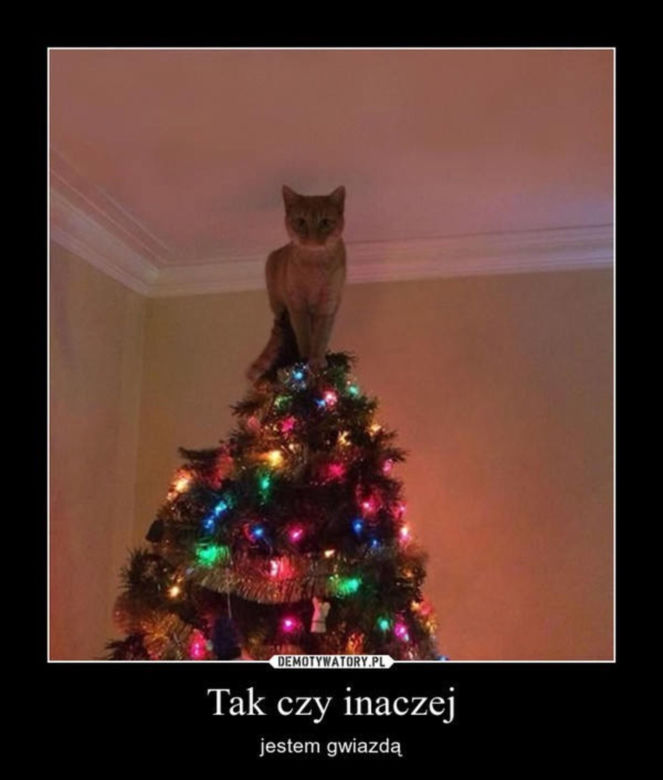 Śmieszne obrazki, które rozbawią każdego