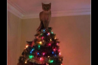 Śmieszne obrazki, które rozbawią każdego