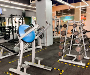 Sport