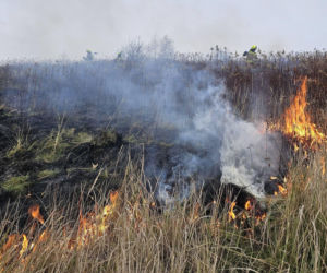 Nie pomagają groźby ani prośby. Suche trawy znowu się palą Pożarów jest bardzo dużo!