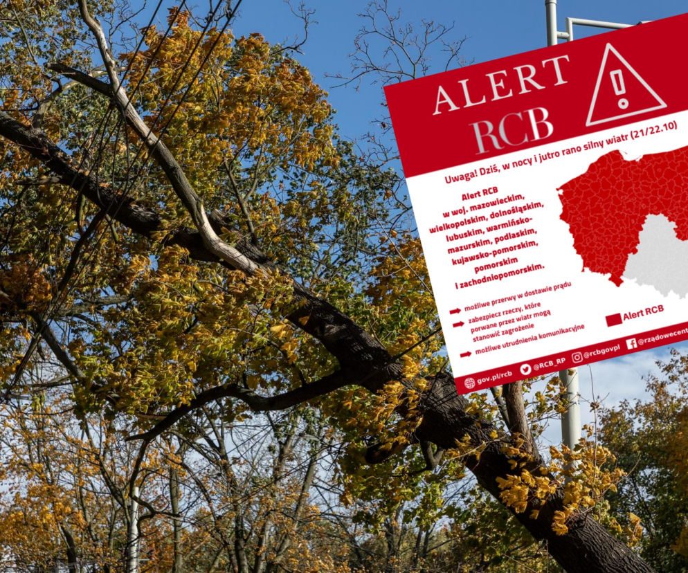 Alert RCB przed wichurami. Rząd ostrzega w SMS przed silnym wiatrem