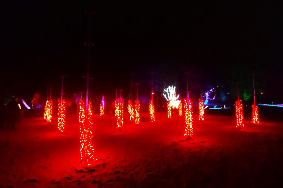 Garden of Lights w Szczecinie