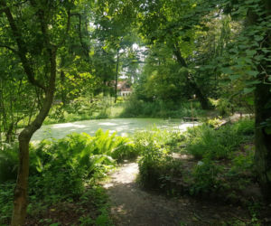 Leśne Arboretum Warmii i Mazur w Kudypach