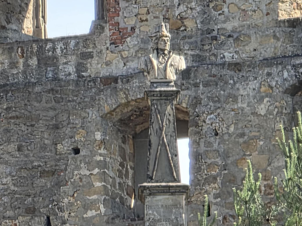 Zamek w Odrzykoniu 
