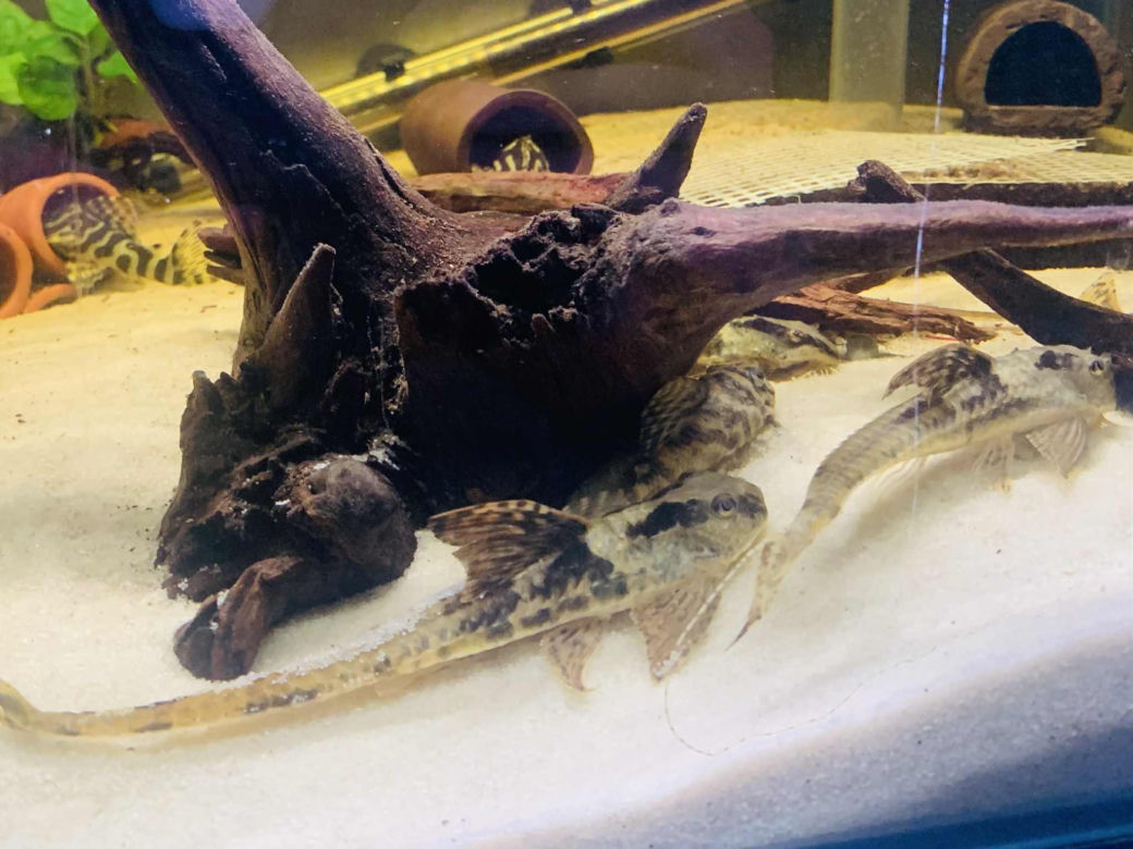 Rozmawiamy z Tomaszem Wiśniewskim, założycielem Aqua Dreams Bydgoszcz