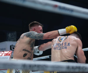 Kalinowski - Stępień