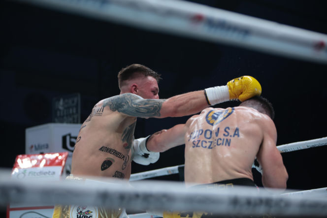 Kalinowski - Stępień