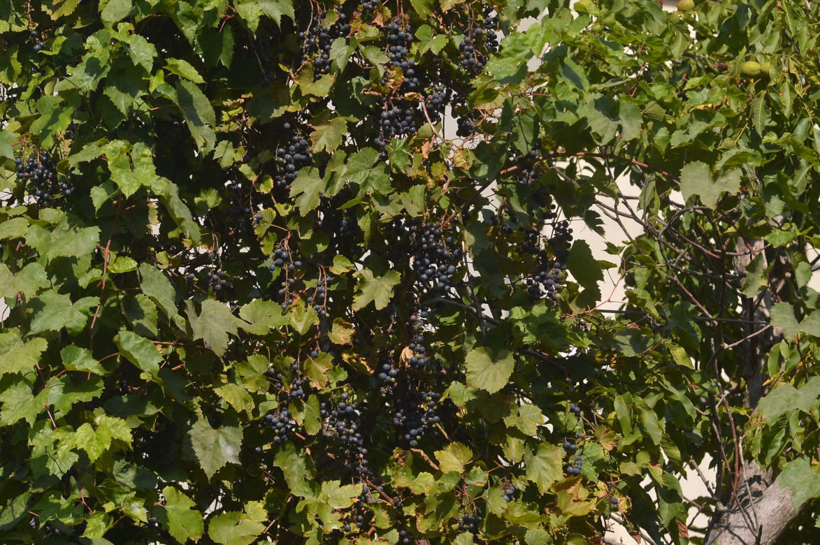 Będą wina Kaczyńskiego