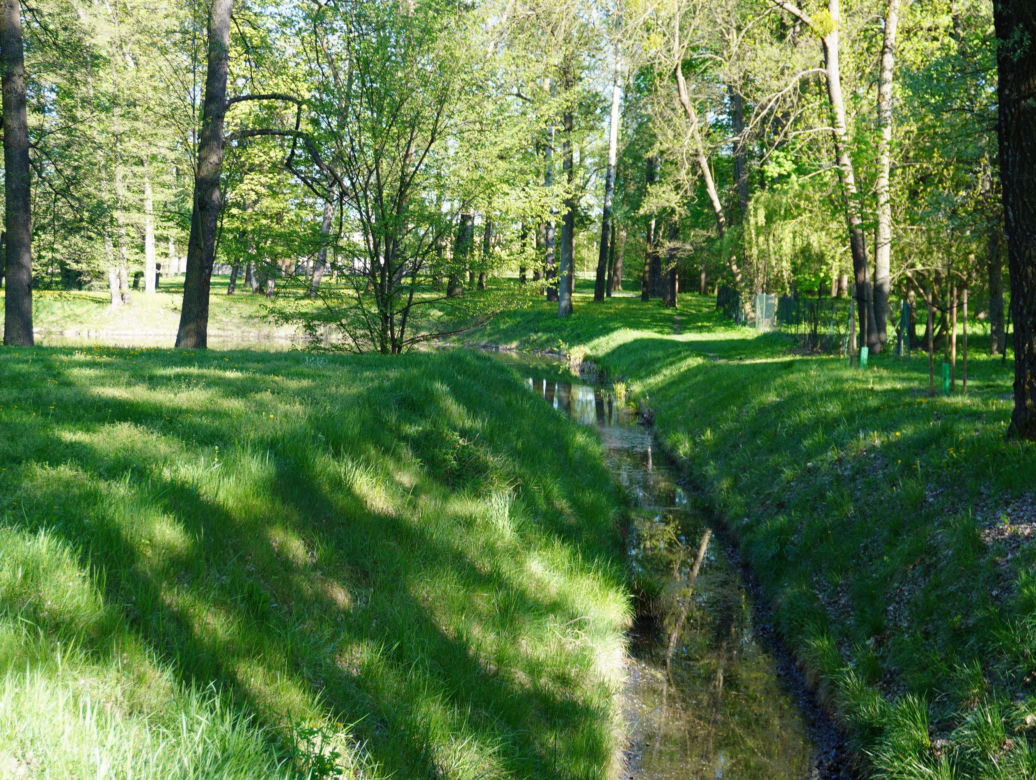 Park miejski w Opolu Lubelskim