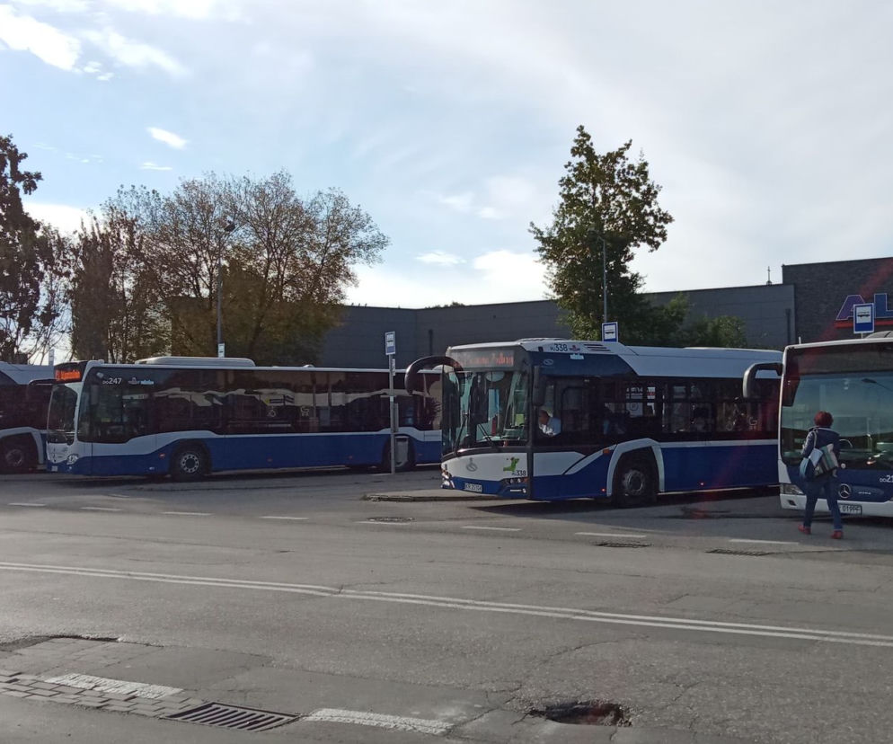 Pętla Borek Fałęcki