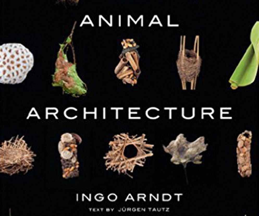 Animal Architecture